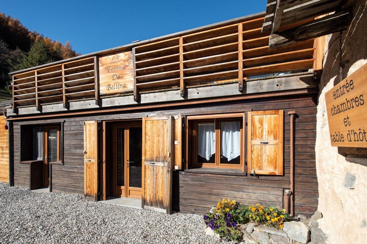 Gites & Spa De La Ferme De Belline 布里昂松 外观 照片
