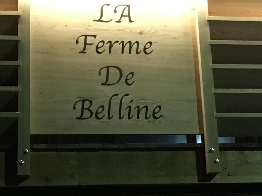 Gites & Spa De La Ferme De Belline 布里昂松 外观 照片